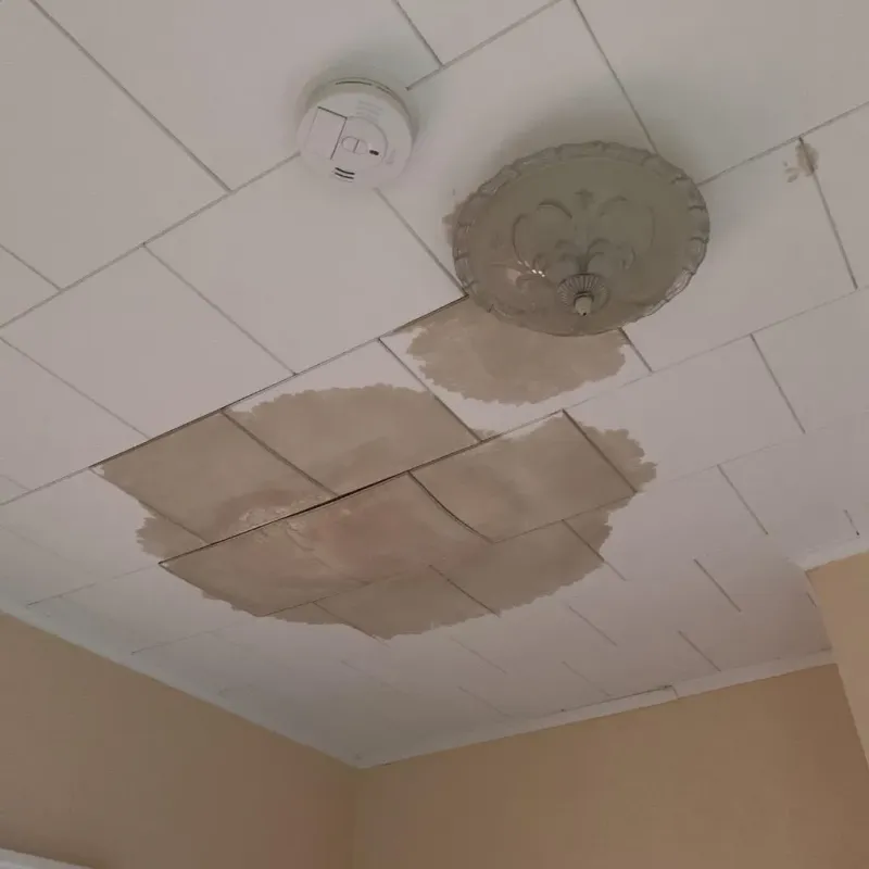 Ceiling Water Damage Repair in Montegut, LA