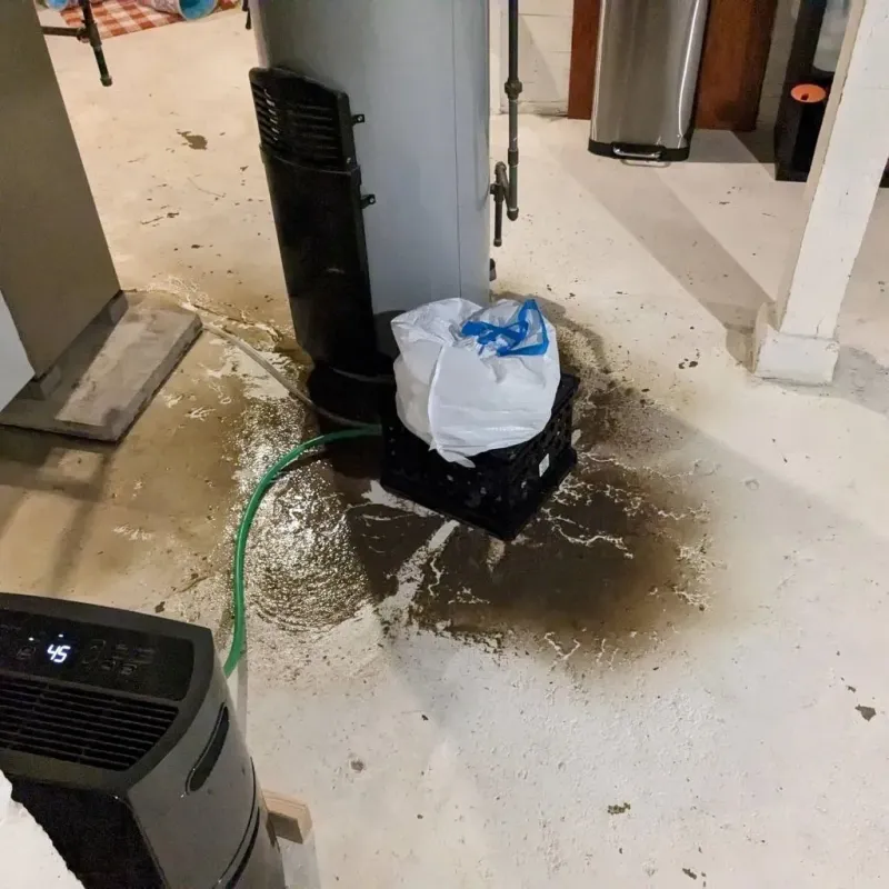 Sewage Backup Cleanup Service in Montegut, LA